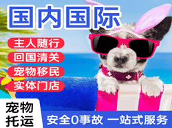 唐山空运公司国际宠物托运 【国